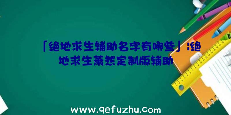 「绝地求生辅助名字有哪些」|绝地求生萧然定制版辅助